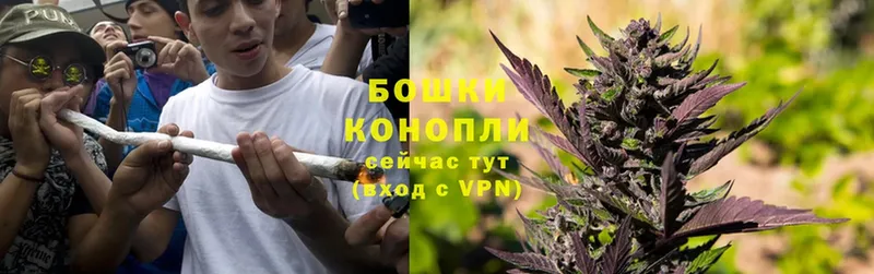 Шишки марихуана SATIVA & INDICA  Каменногорск 